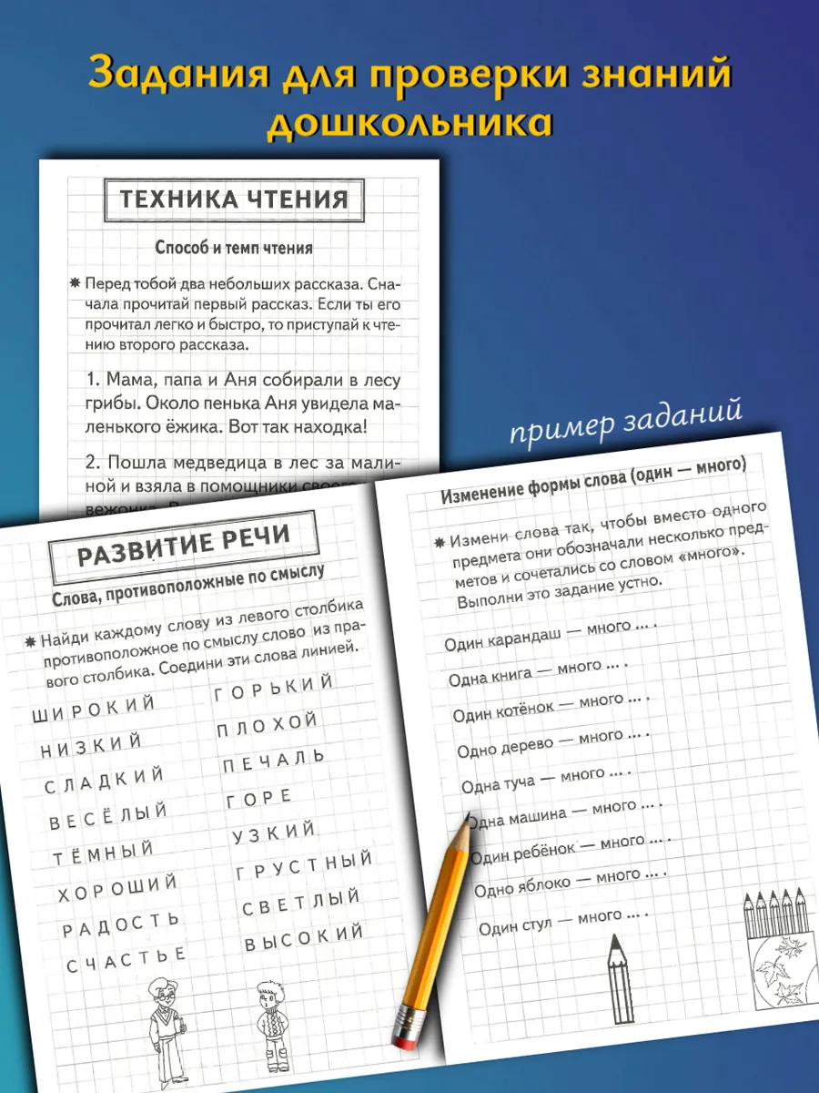 Проверяем готовность ребенка к школе. Рабочая тетрадь