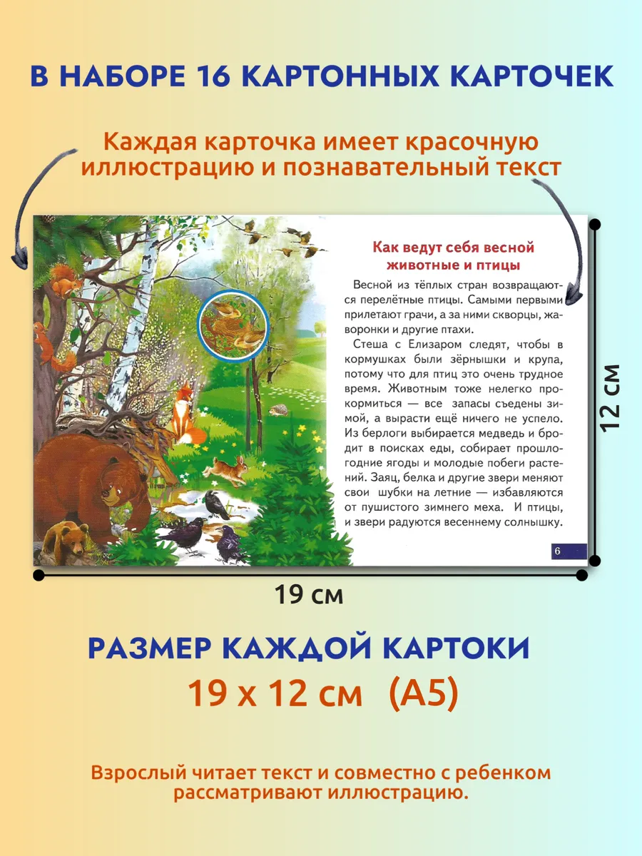 Карточки Времена года