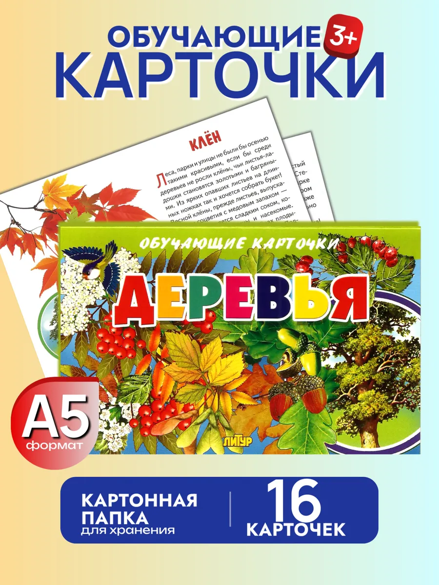 Деревья карточки для детей