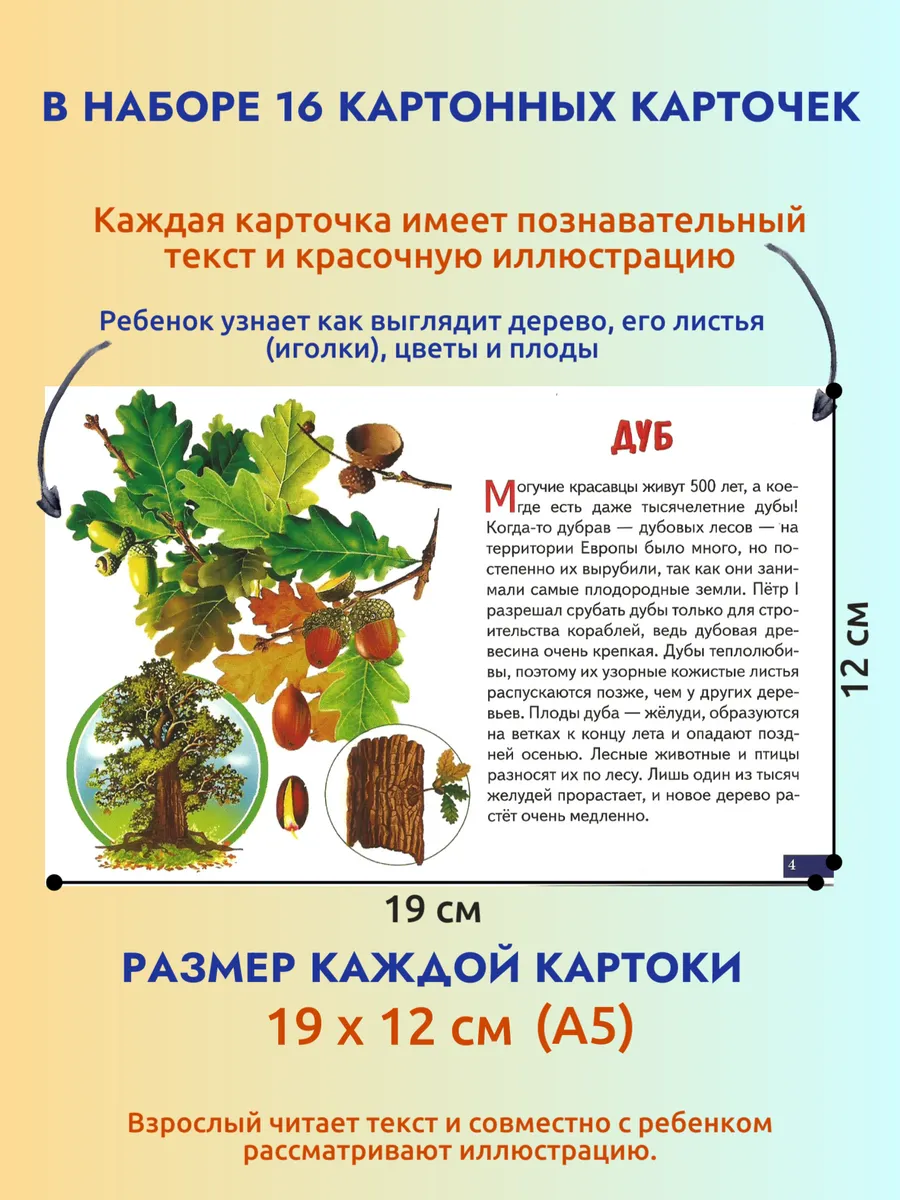 Деревья карточки для детей