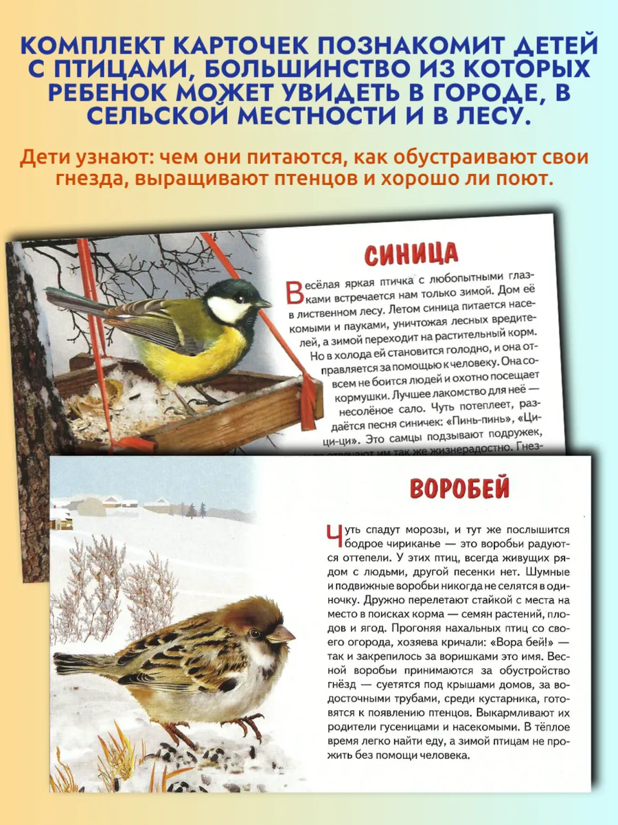 Зимующие птицы России карточки