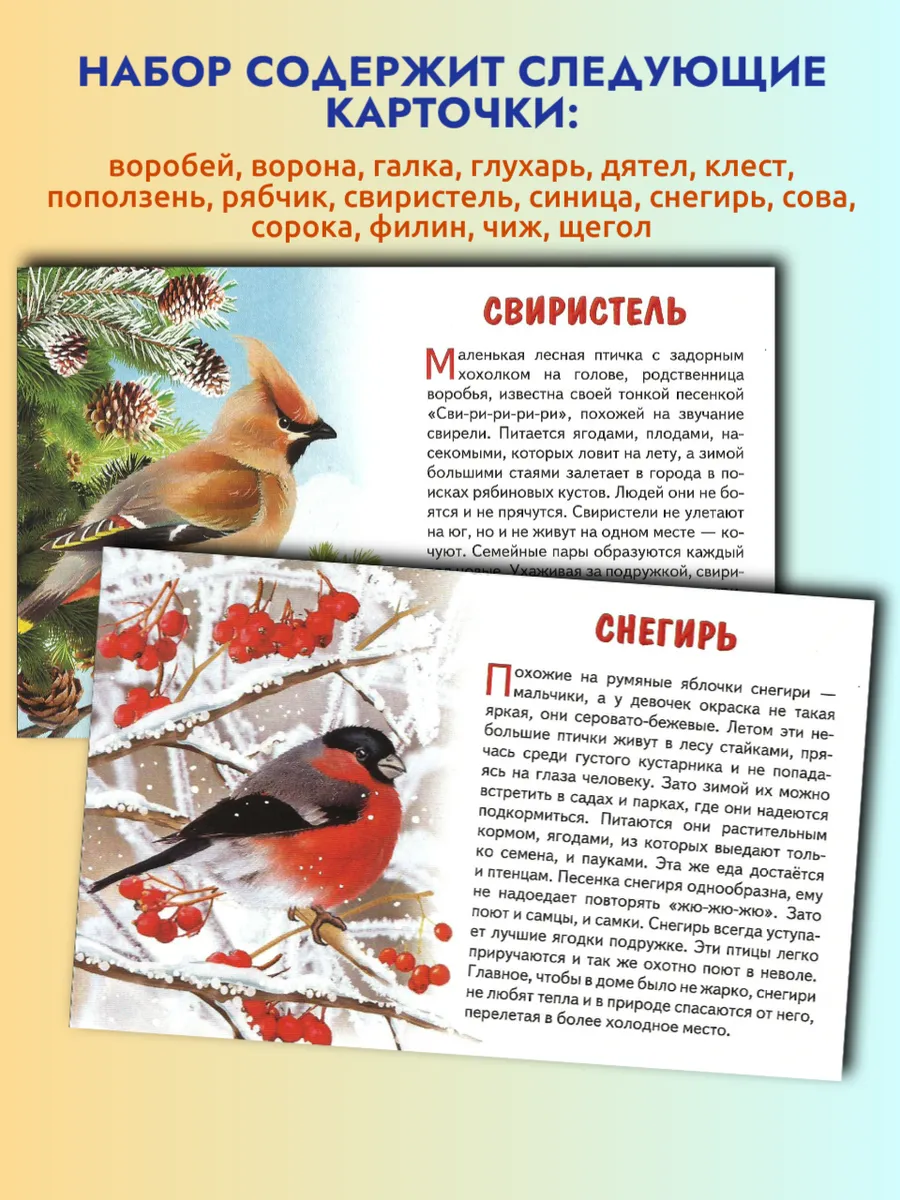 Зимующие птицы России карточки