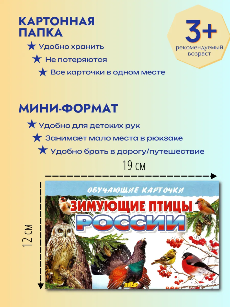 Зимующие птицы России карточки