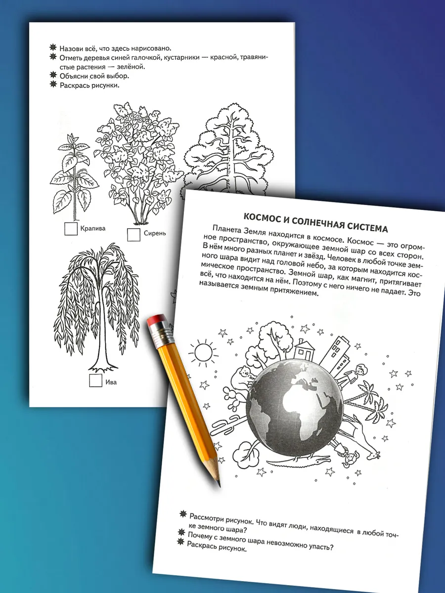 Окружающий мир 5-6 лет Рабочая тетрадь