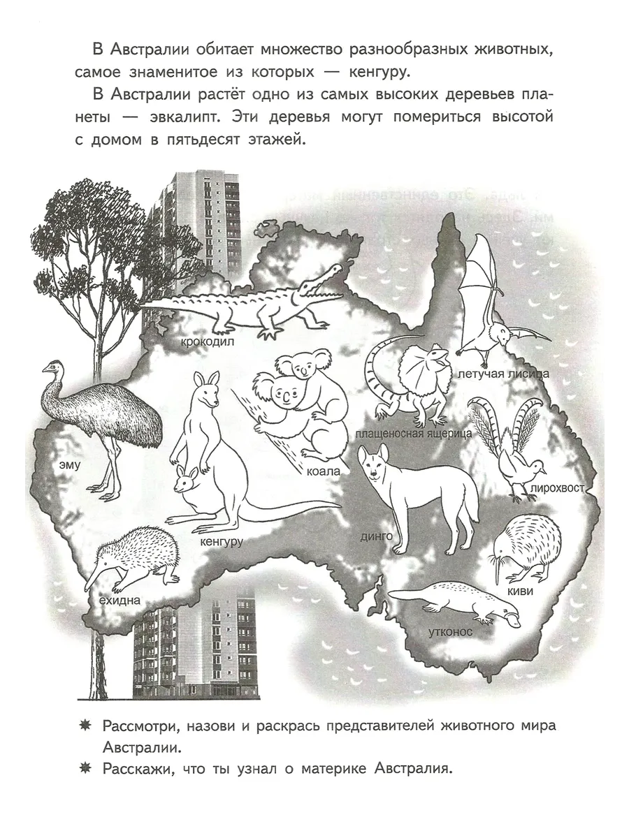 Окружающий мир 6-7 лет Рабочая тетрадь