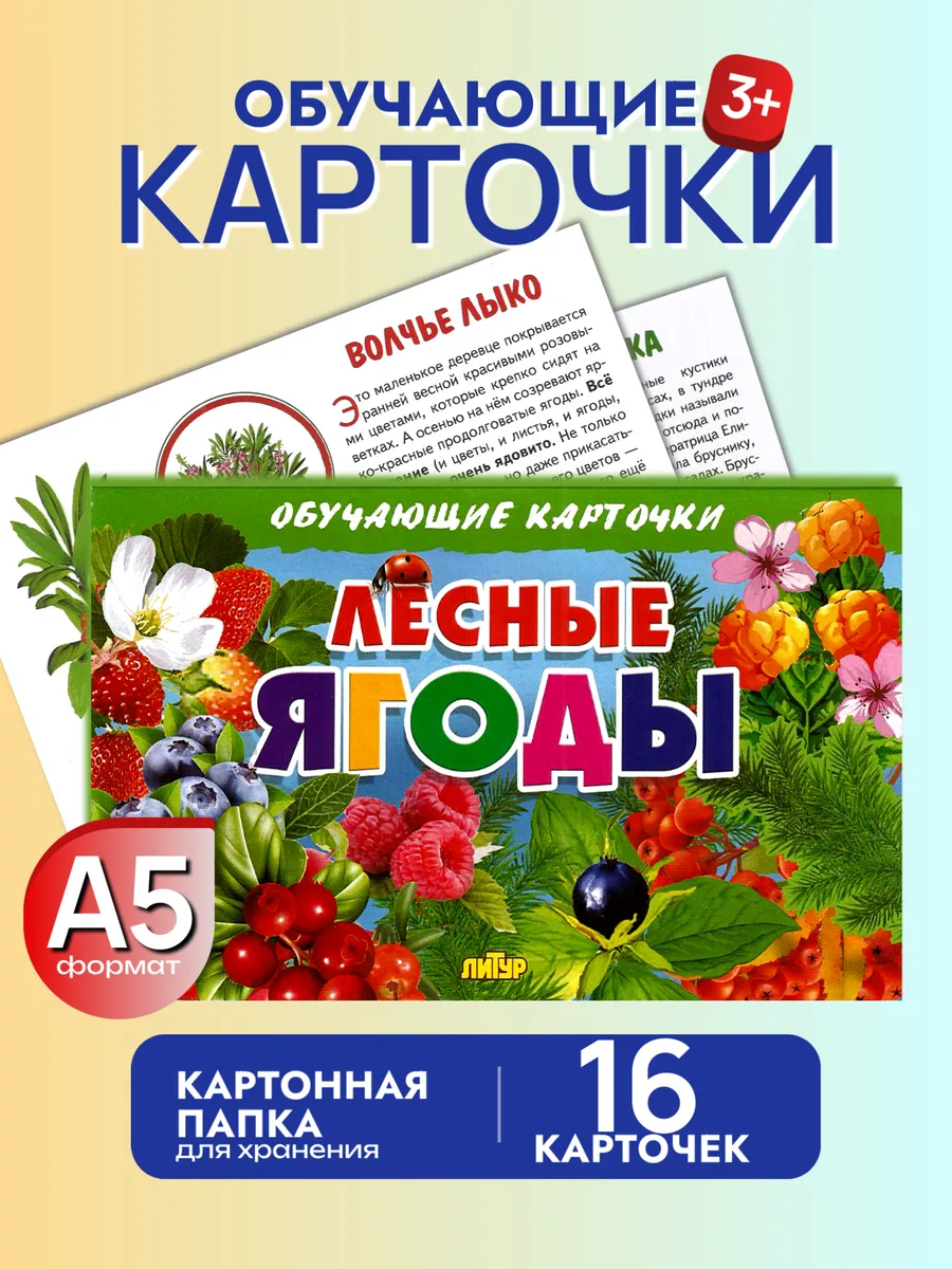 Карточки Лесные ягоды