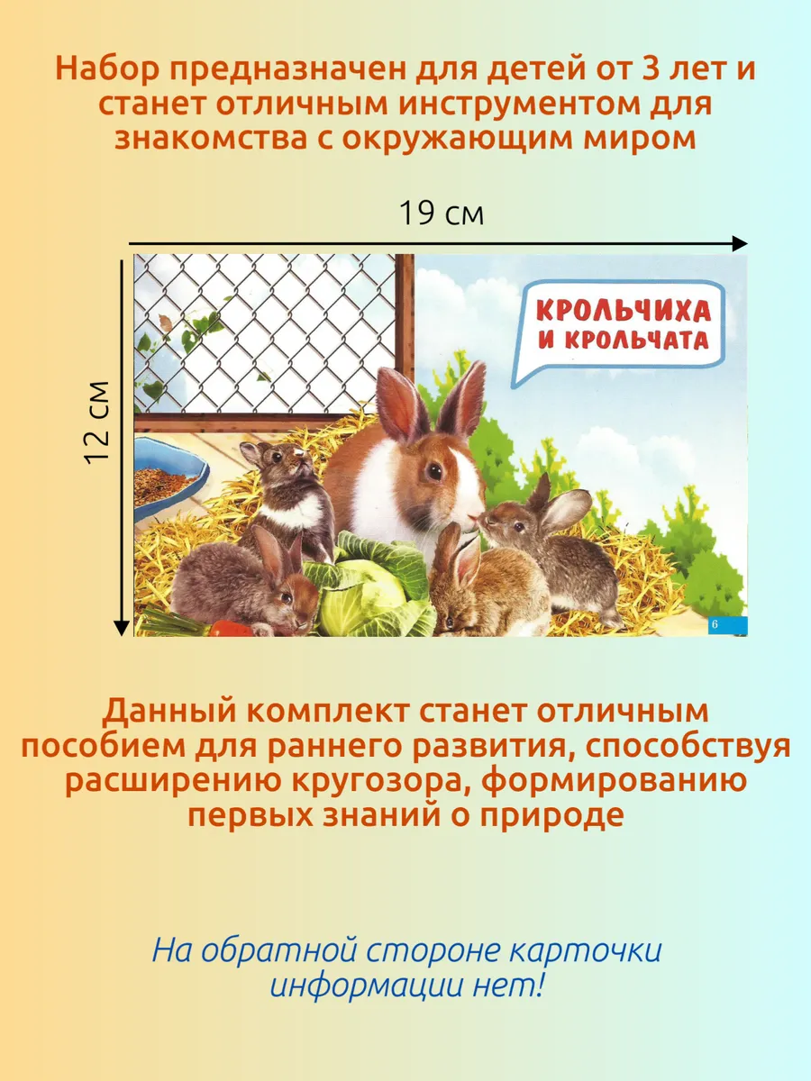 Карточки Мамы и детки