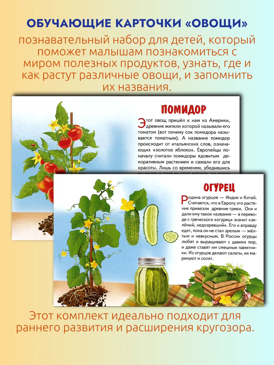 Обучающие карточки Овощи