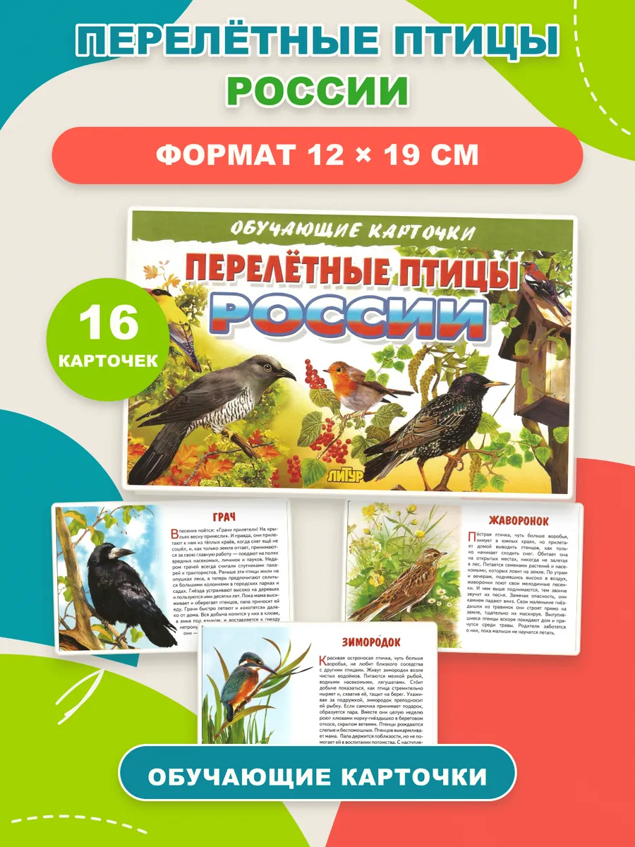 Перелетные птицы России. Наглядные карточки