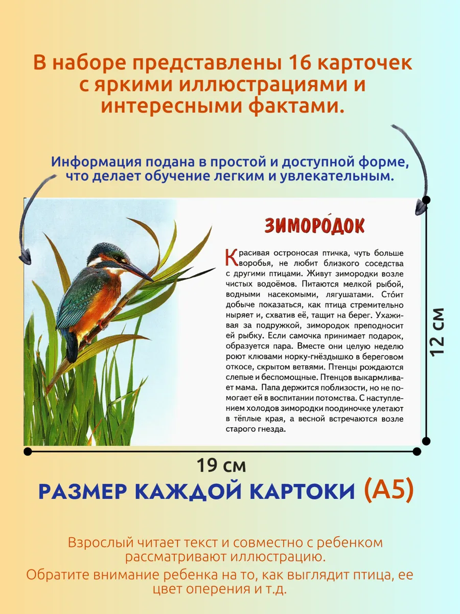 Перелетные птицы России. Наглядные карточки