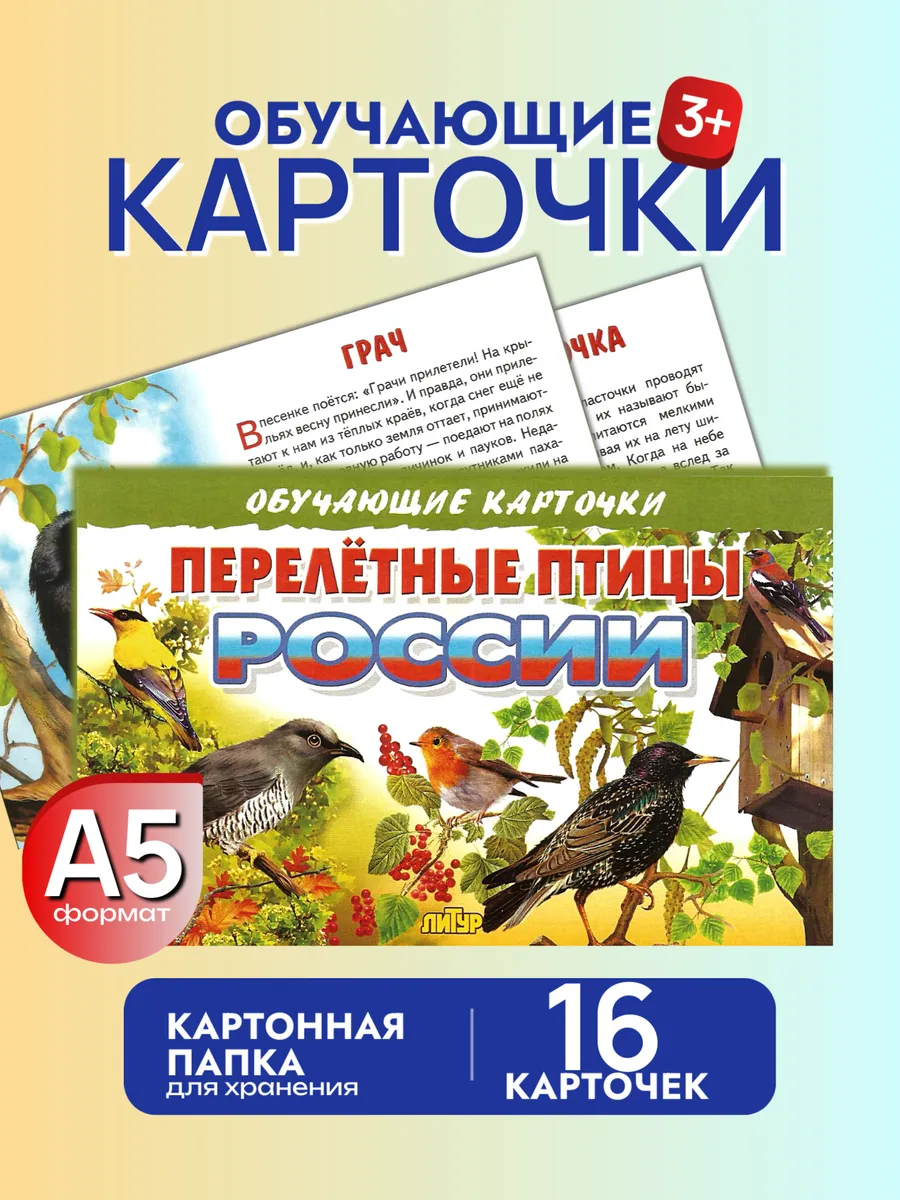 Перелетные птицы России. Наглядные карточки