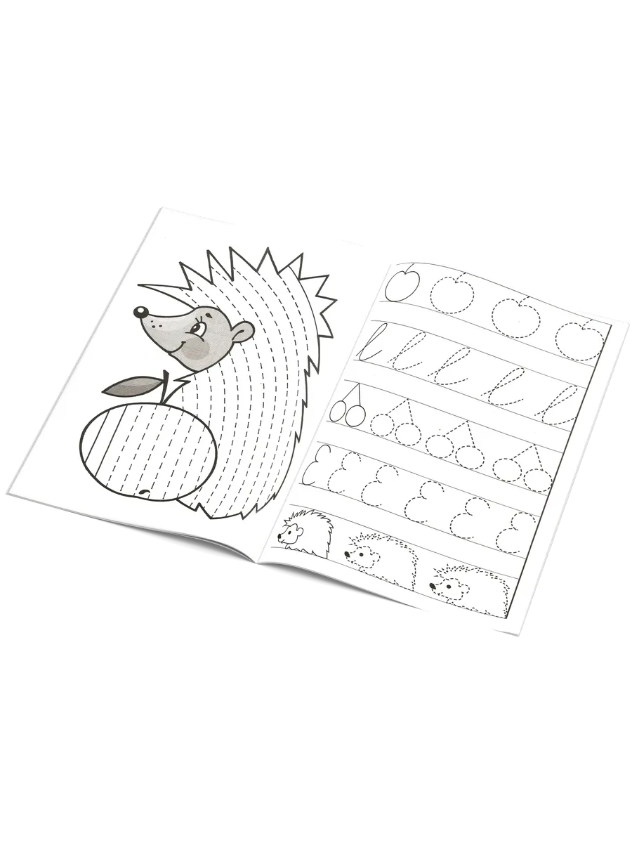 Мои первые прописи для дошкольников