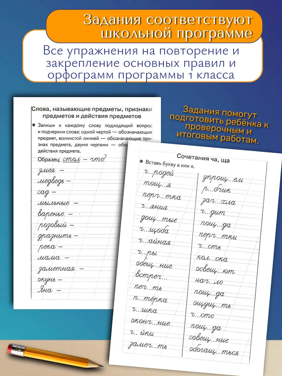 Тренажер по русскому: Грамотное письмо 1 класс