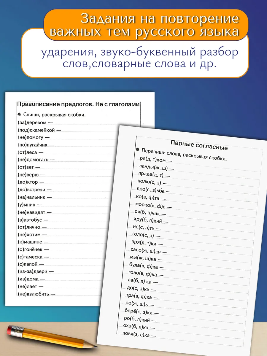 Тренажер по русскому: Грамотное письмо