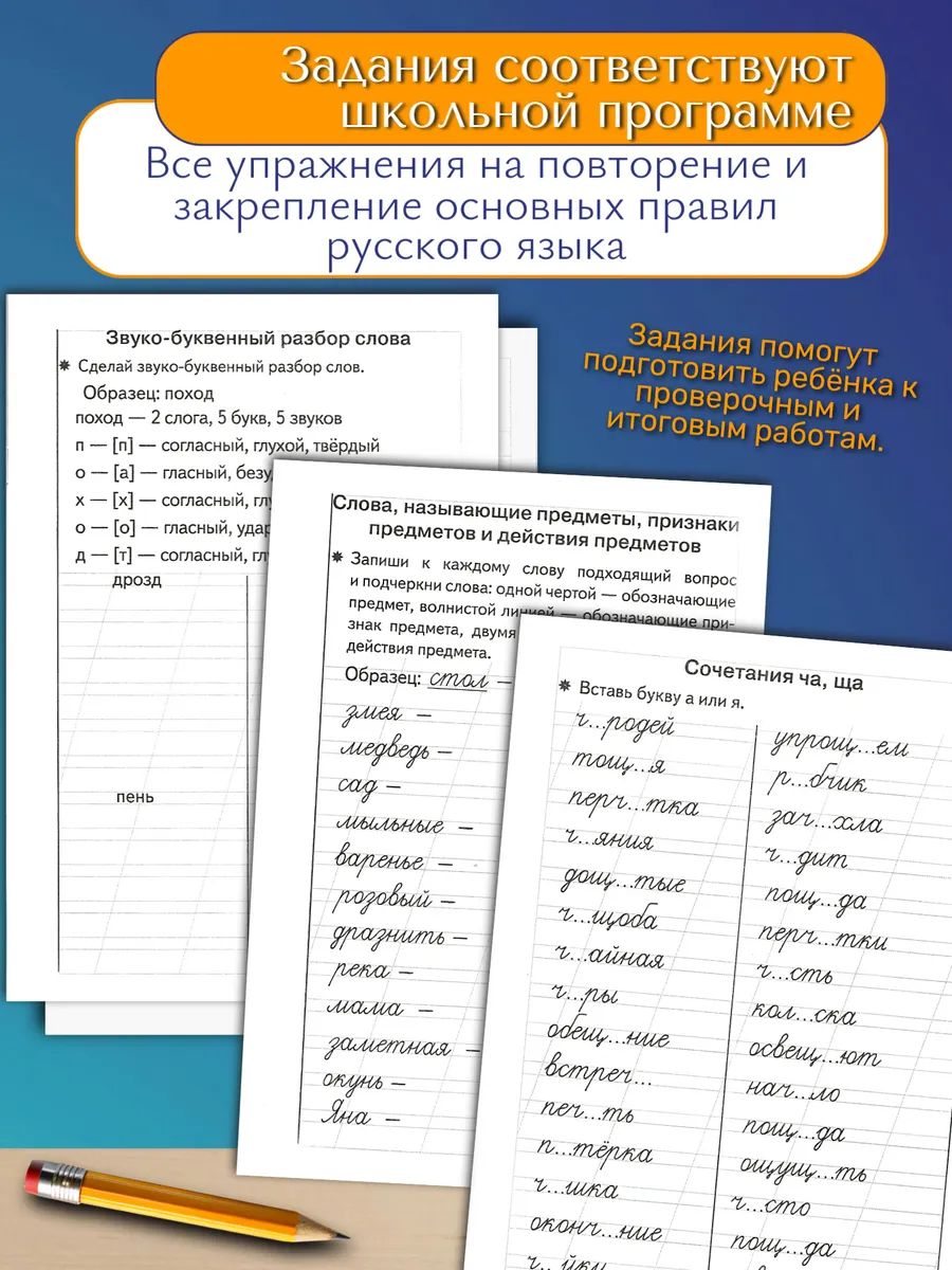 Тренажер по русскому: Грамотное письмо