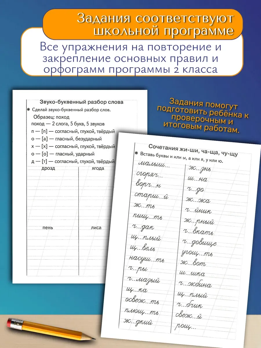 Тренажер по русскому языку: Грамотное письмо 1 класс