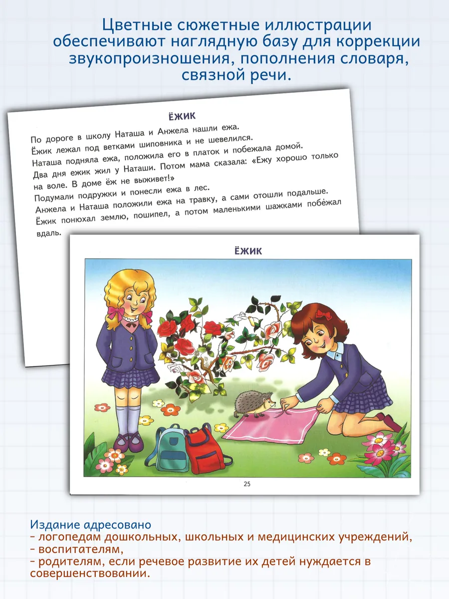 Фонетические рассказы с картинками Шипящие звуки