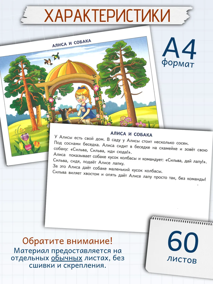 Фонетические рассказы с картинками Свистящие звуки